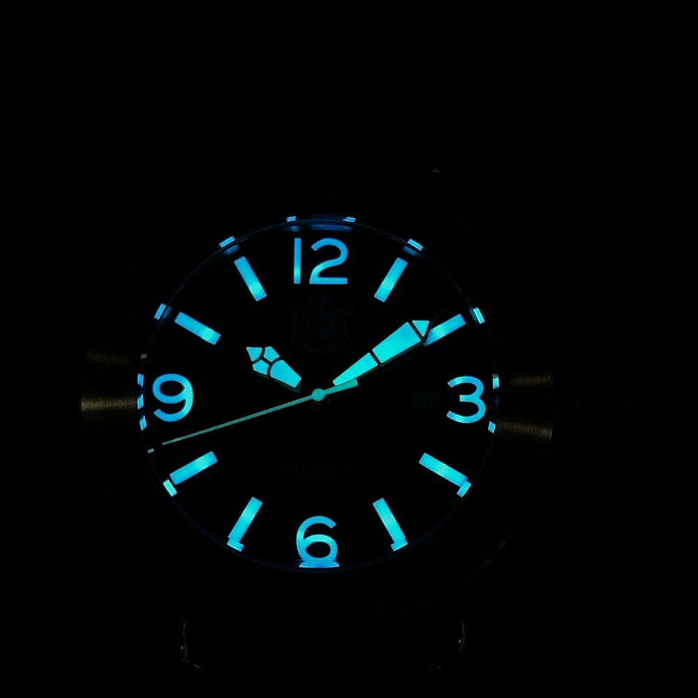 Steeldive 2025 Jam Tangan SD19 - Seiko Watch Prospex ulasan dan harga