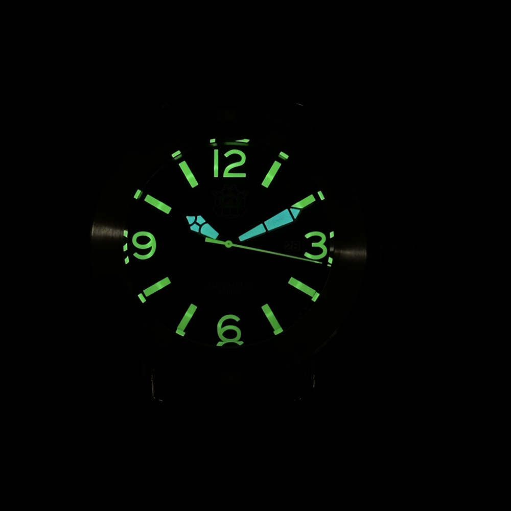 Steeldive 2025 Jam Tangan SD19 - Seiko Watch Prospex ulasan dan harga