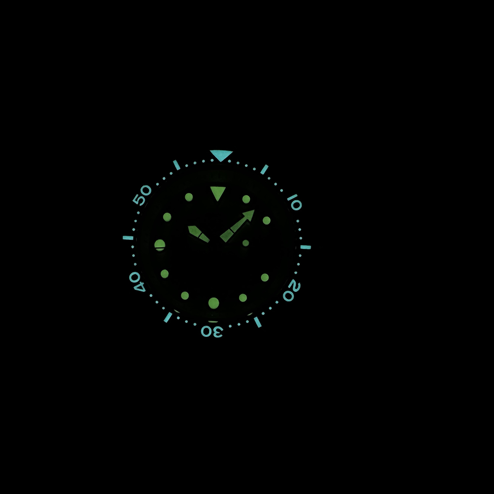 STEELDIVE SD1975 Jam Tangan Me - Seiko Watch Prospex ulasan dan harga
